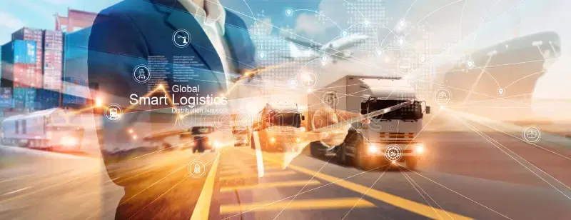 Logistics and Cold Chain